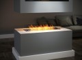 ins100_zoom.jpg